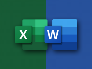Excel & Word Course Bundle