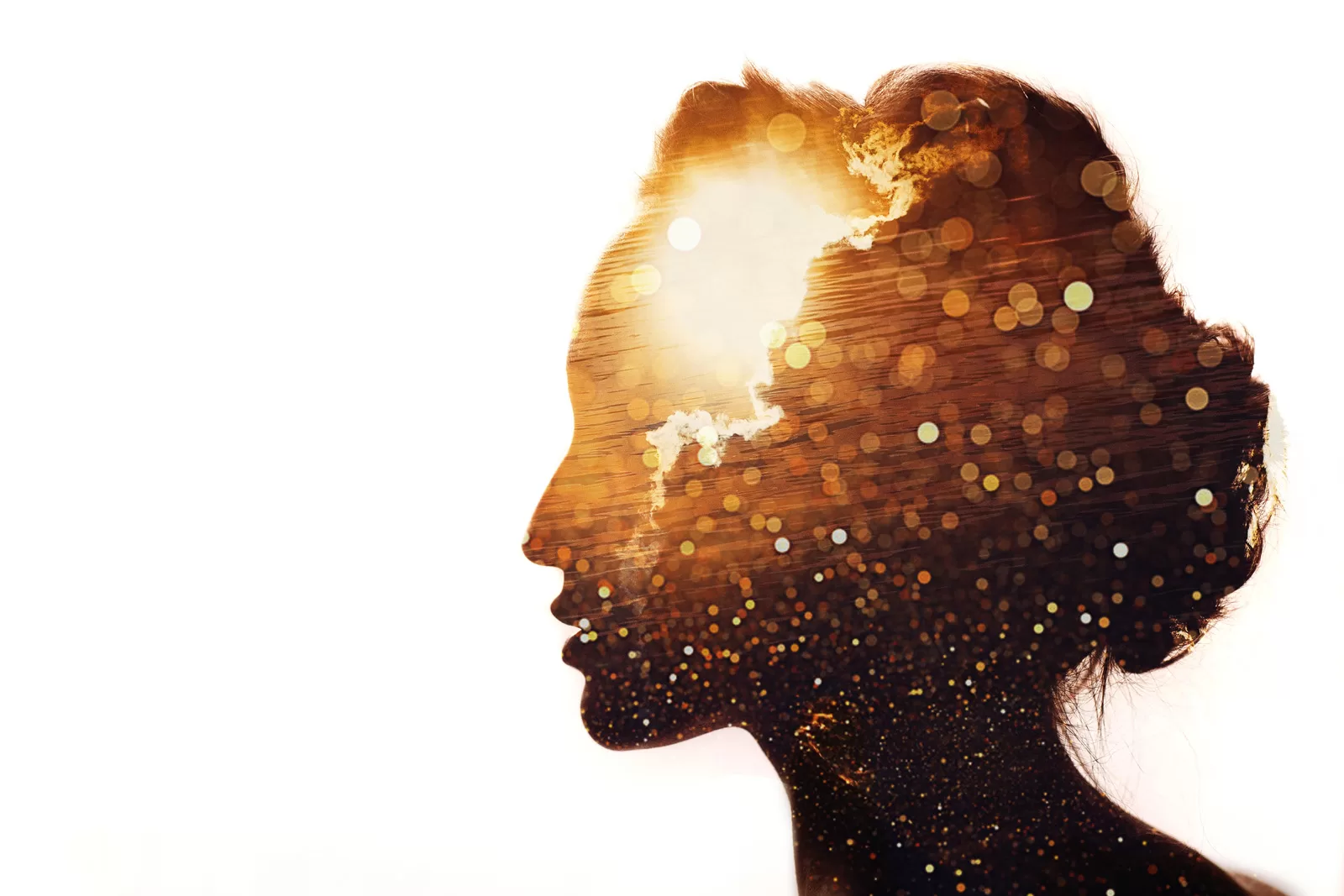 Emotional Intelligence Course