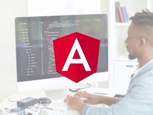 Starting with Angular 7 Course